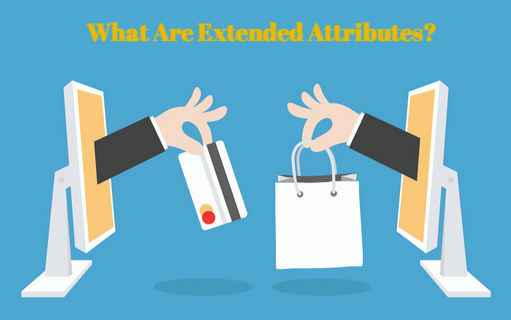 What Are Extended Attributes?