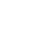 Salsify Icon Repeatability