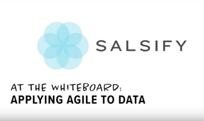 Agile Data Management Method | Salsify