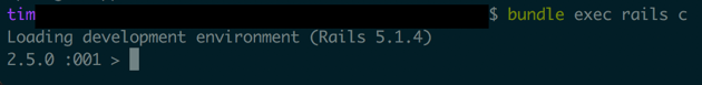 Before A Safer Rails Console.png
