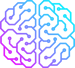 DSI-Icon-1