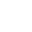 Salsify Icon Data Accuracy