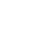 Icon Team