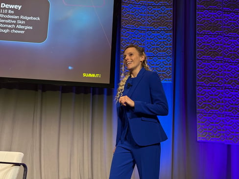 DSS Day 3: Creating AI-Enabled Strategies and Navigating Modern Commerce
