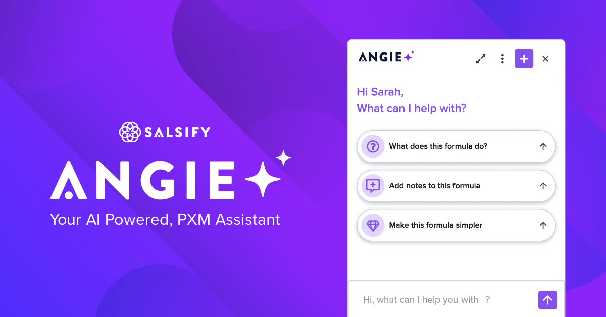 Salsify AI - Angie AI Assistant - Feature Image2