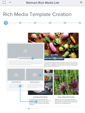 Walmart Rich Content Media Template