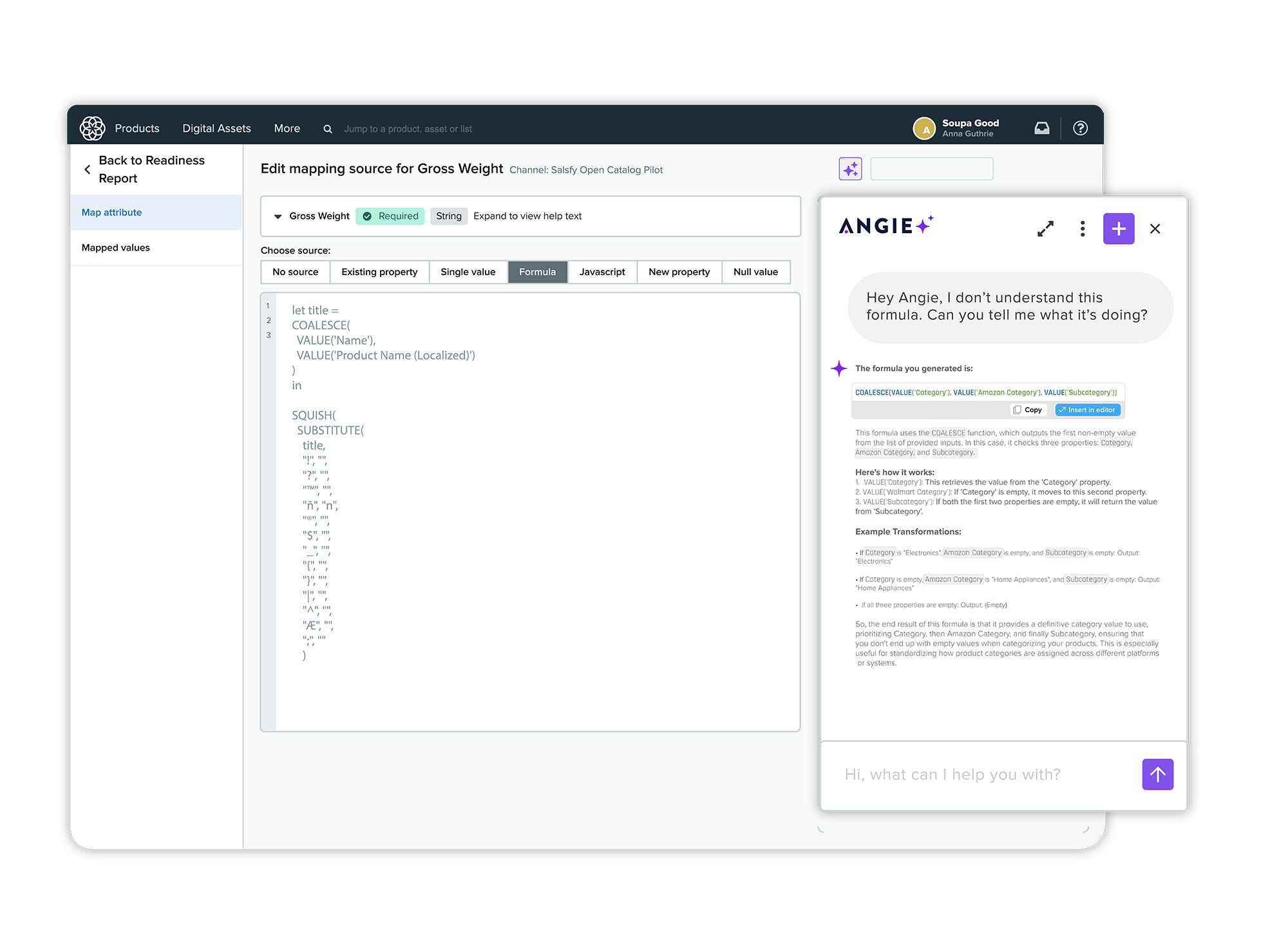 Salsify Angie AI Assistant Fomula Writing