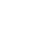 White Salsify Logo