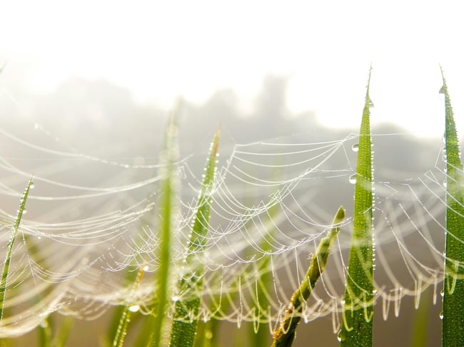 Salsify Solution Spotlight: How Salsify Syndication Connects Engaging Product Experiences to Consumers Everywhere