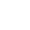flower (1)-1
