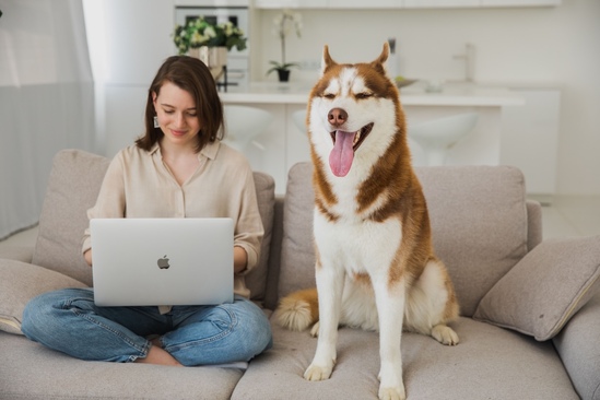 From Pet Parent to Product Page: Rethinking the Petcare Shopping Journey