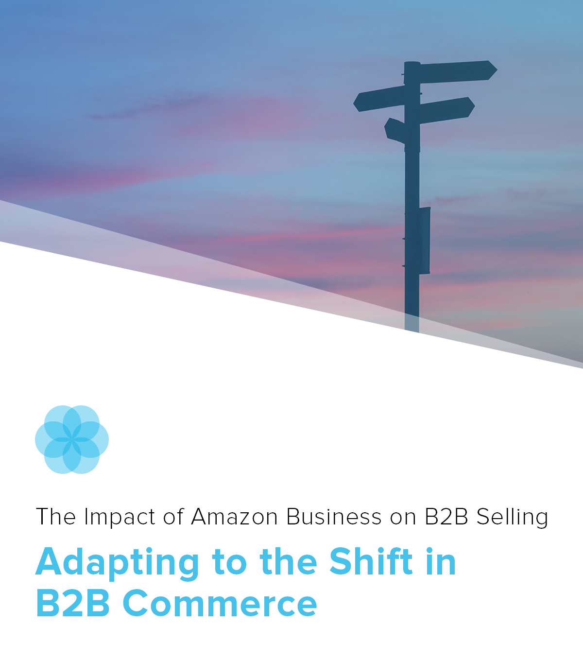 The Impact of Amazon Business on B2B Selling